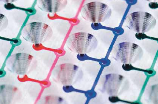 Enlarged view: Microtissues in chambers