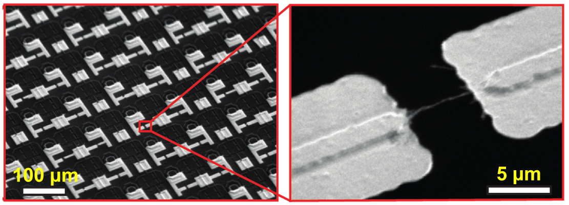 Enlarged view: SEM pictures of the carbon nanotube (CNT) sensor array and a CNT bundle between the electrodes.