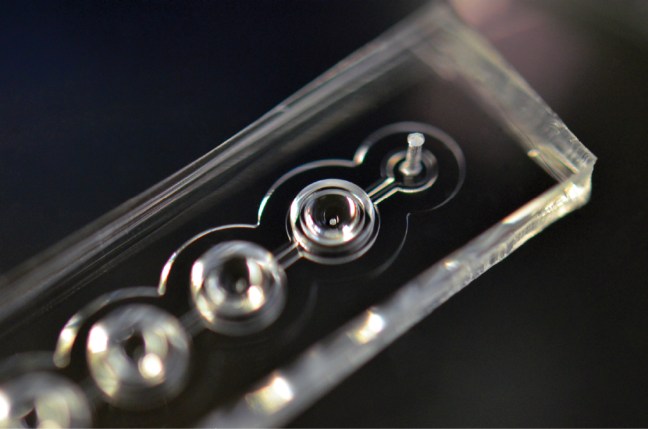 Enlarged view: Microﬂuidic hydrogel hanging-drop chip