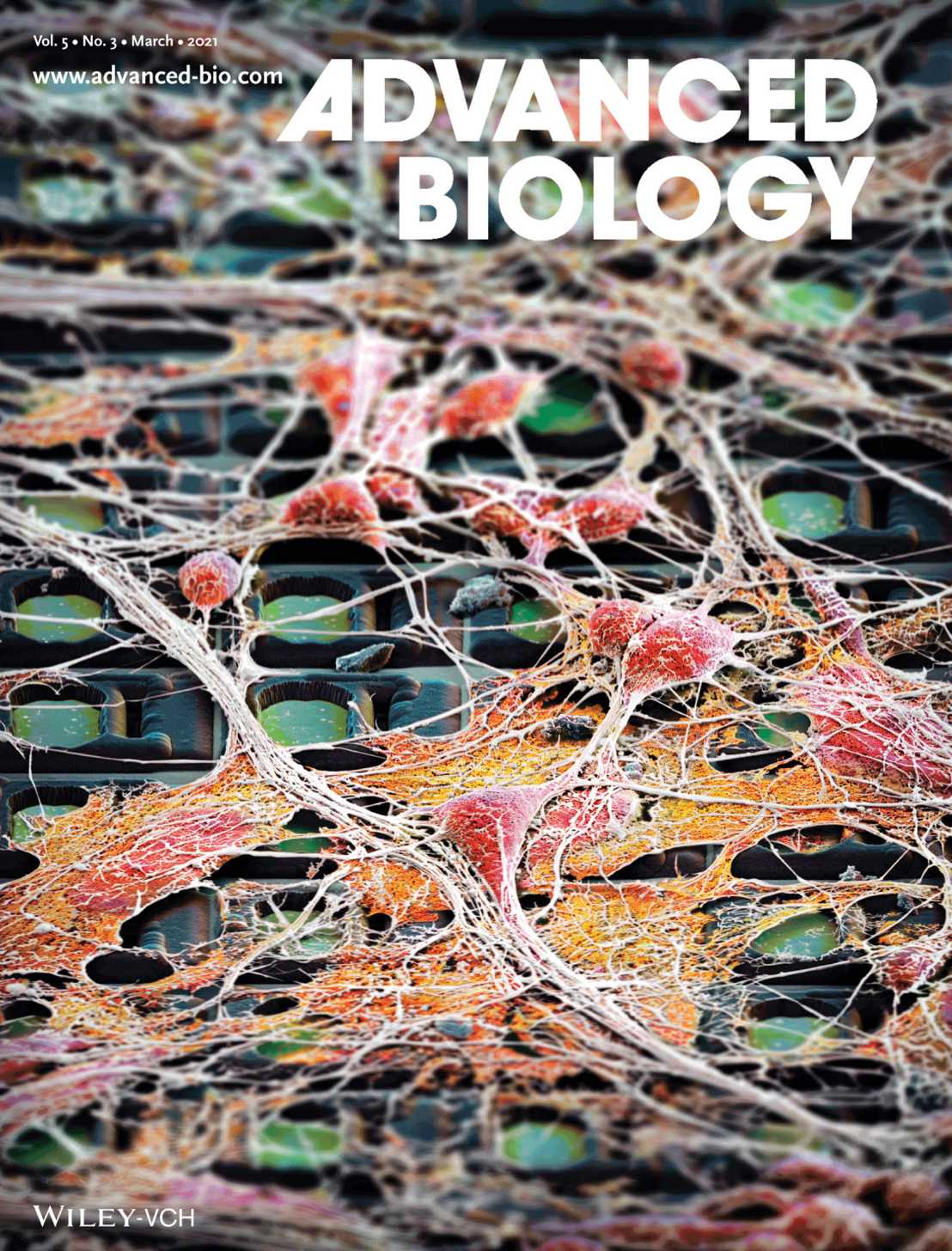 Enlarged view: Journal cover Advanced Biology