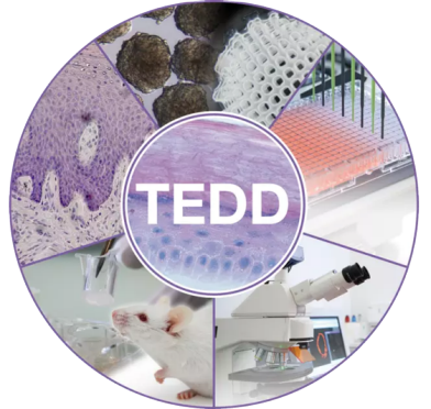 TEDD Logo