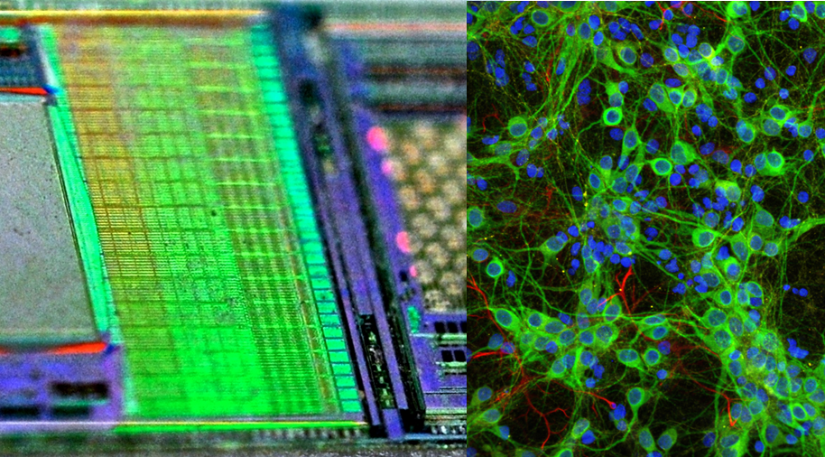 Enlarged view: Microtechnology and Biology image