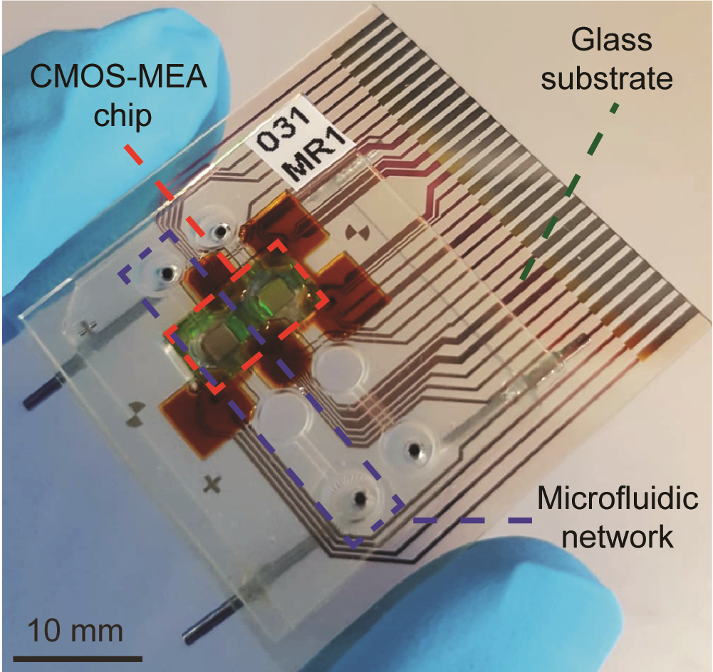 Enlarged view: CMOS microsensor array in microfluidic system