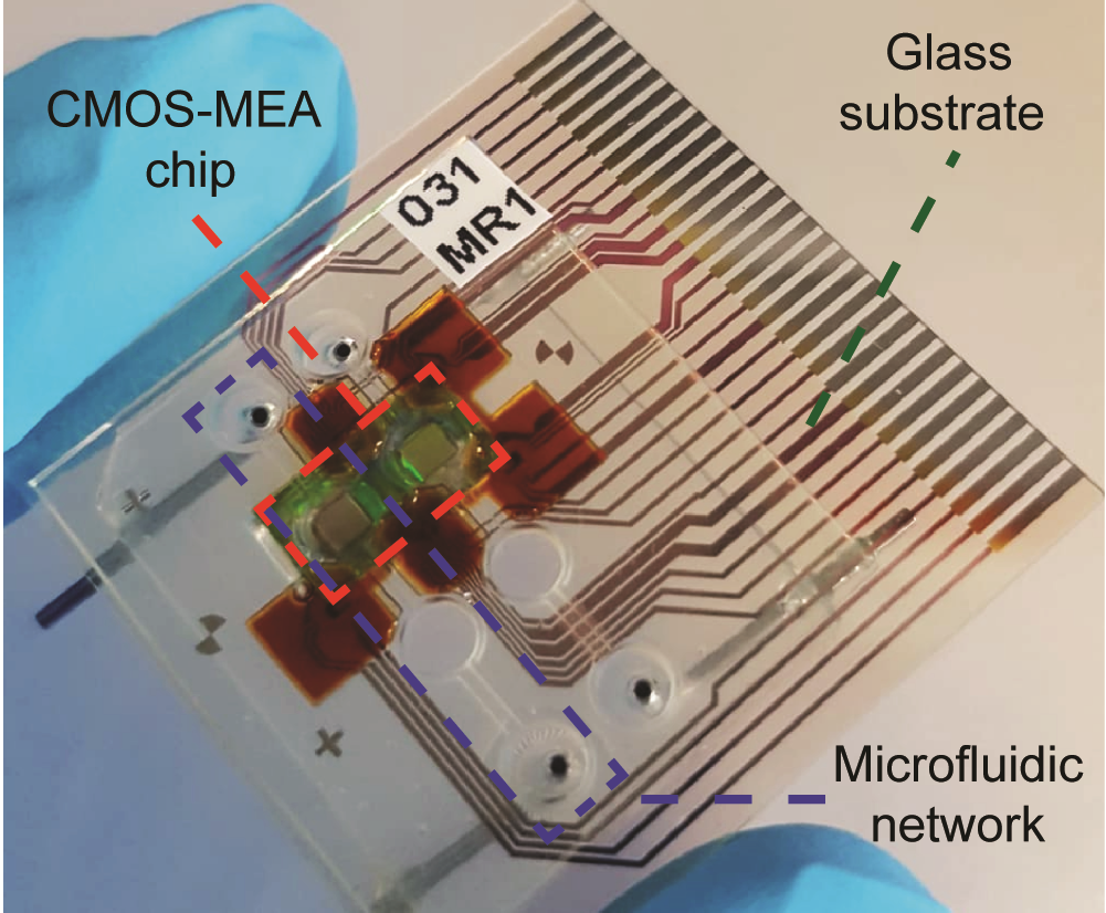 Enlarged view: CMOS microsensor array in microfluidic system
