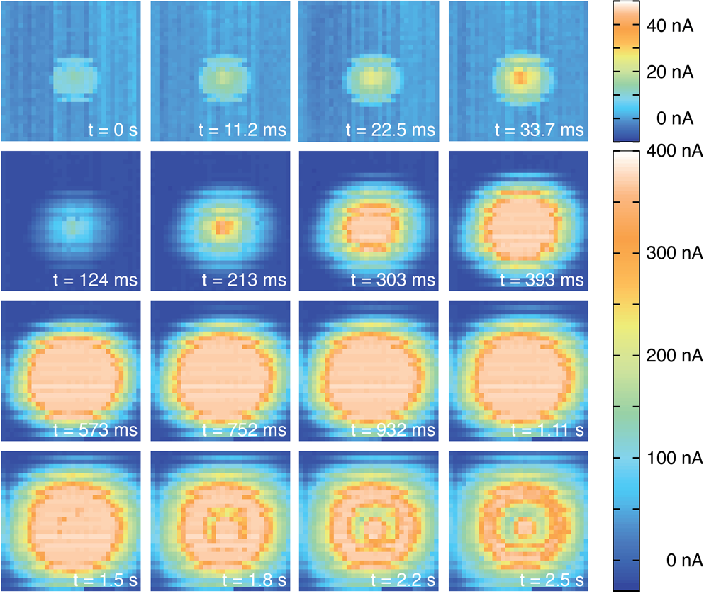 Enlarged view: Electrochemical Imaging