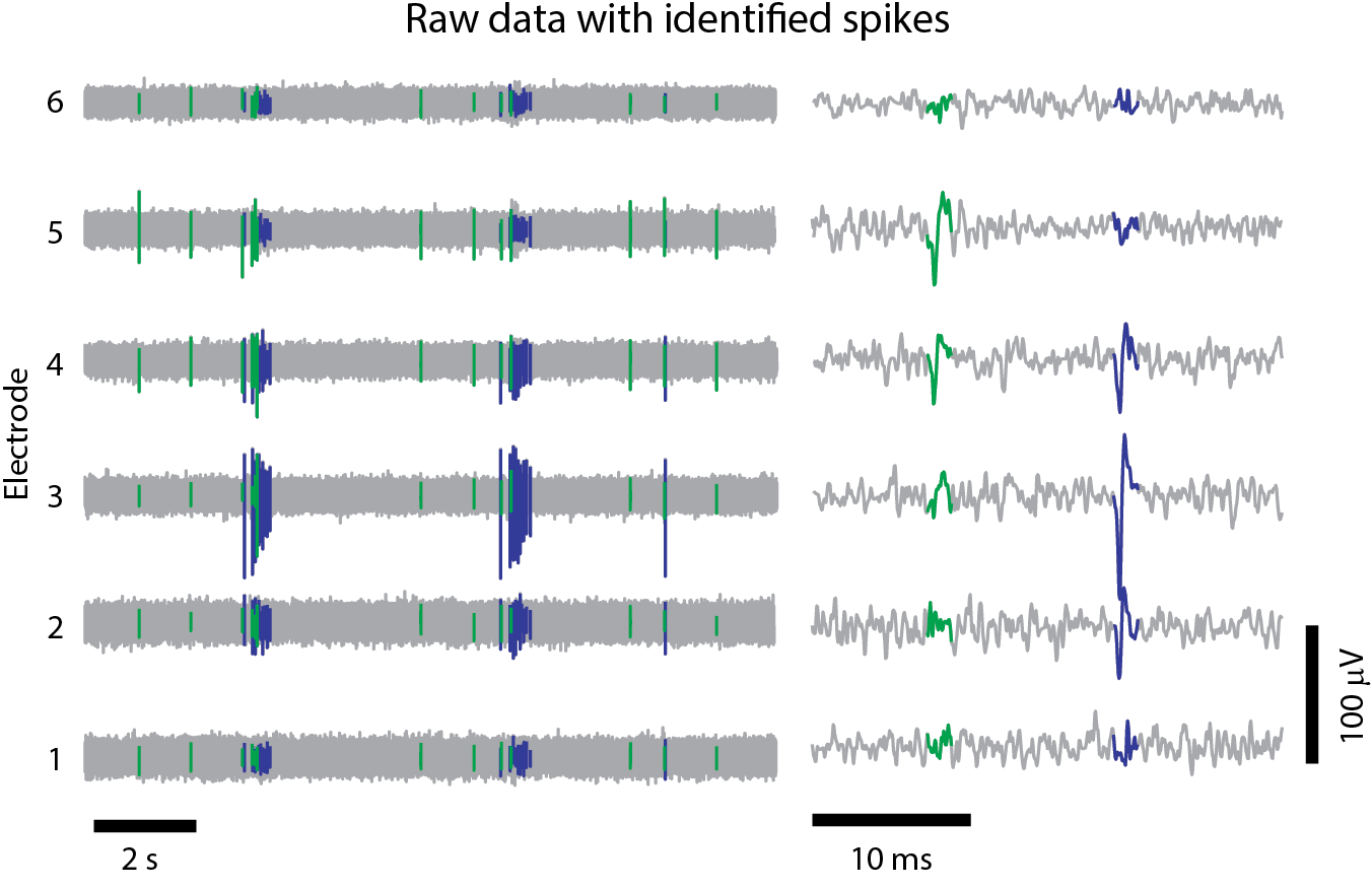 Enlarged view: Spike sorting of HD-MEA recordings