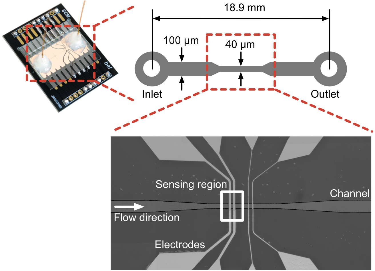 Enlarged view: Microfluidic Impedance Chip