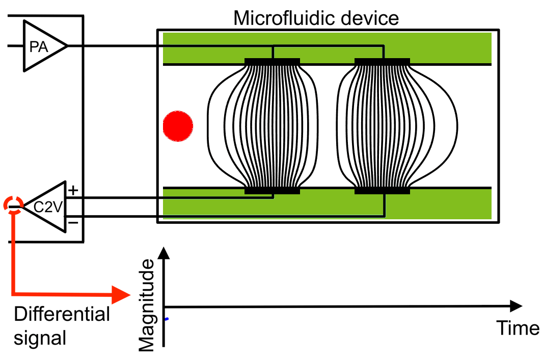 Enlarged view: Impedance Signal Generation