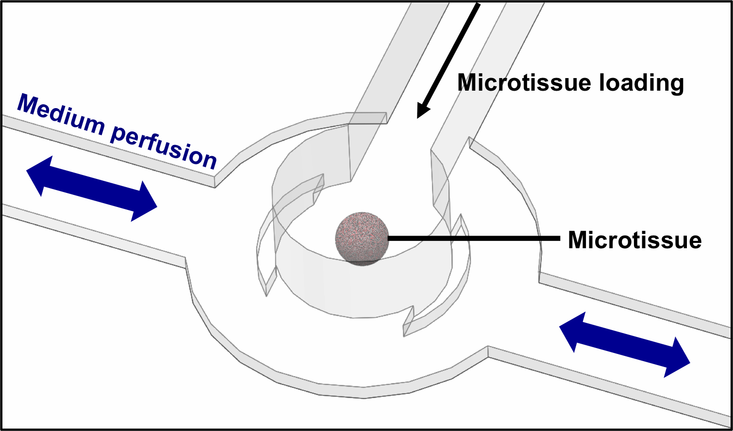 Enlarged view: Microfluidic Microtissue Compartment