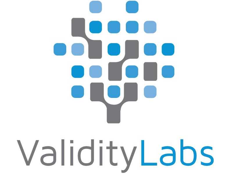 Logo Validity Labs