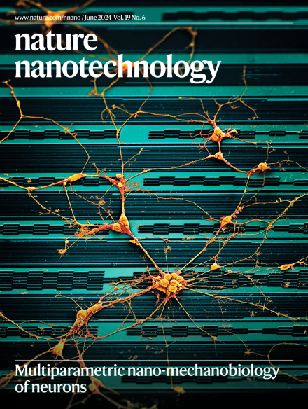 NatNanotech