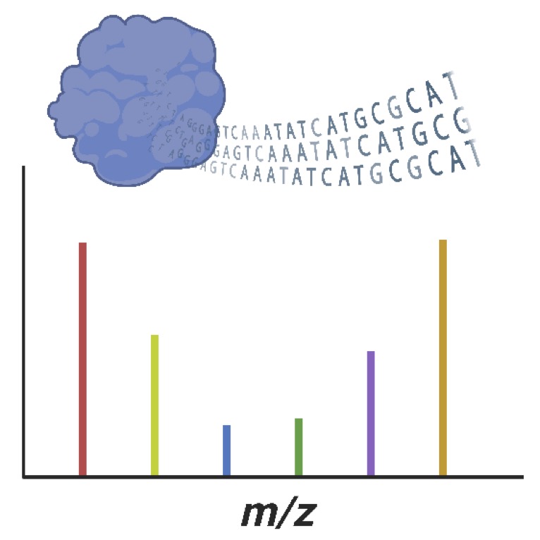 Peptide Barcodes
