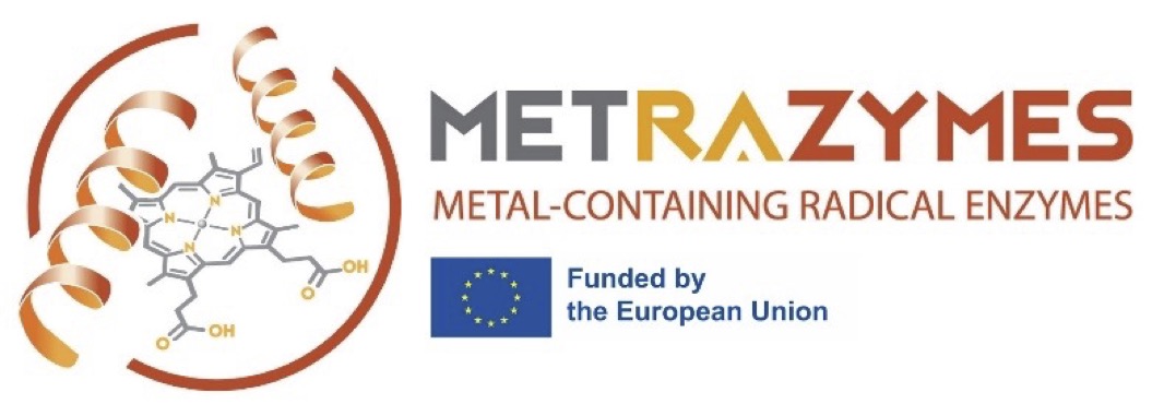 Metrazymes
