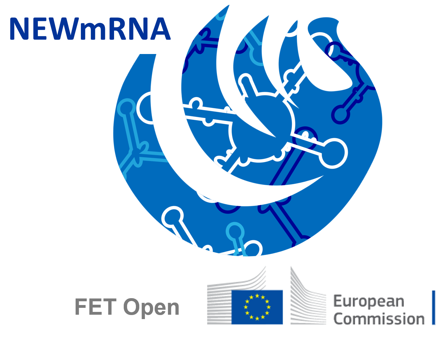 NEWmRNA
