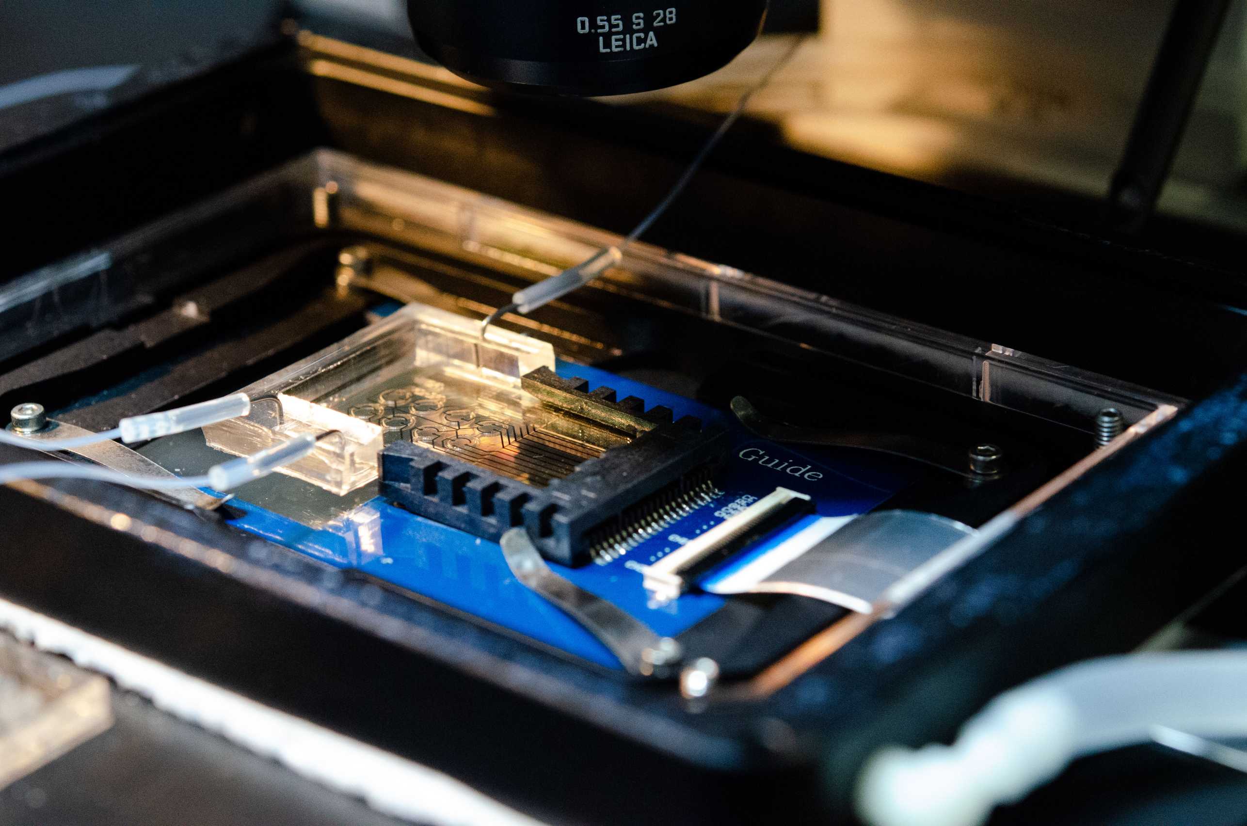 Enlarged view: Photo of Microfluidic chip setup