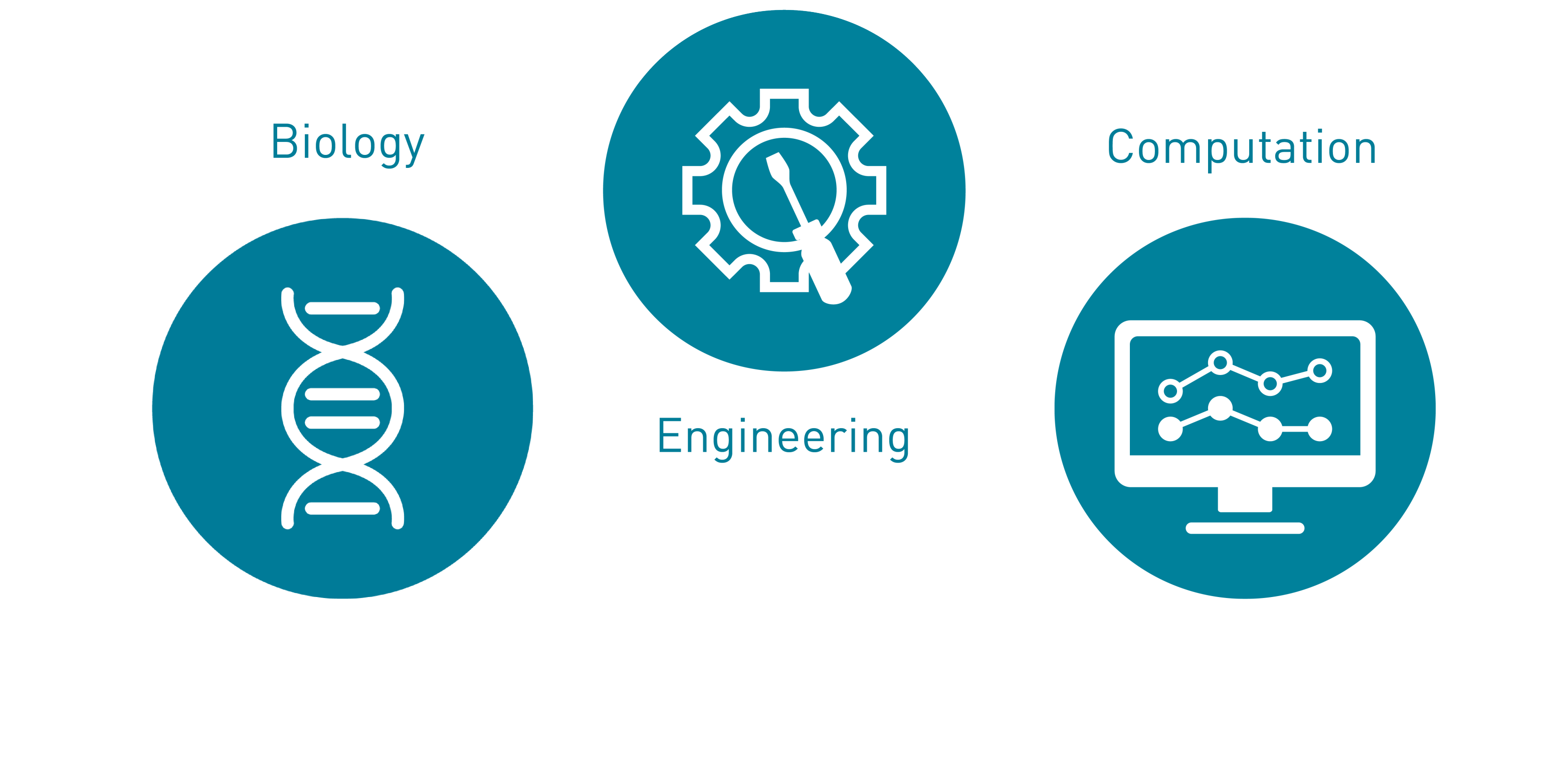 Department Of Biosystems Science And Engineering – Department Of ...