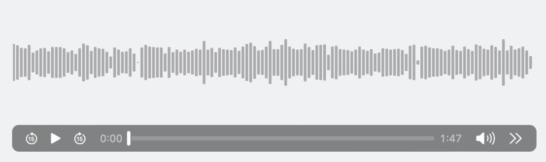 Voice-screenshot