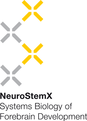 Logo of the SystemsX RTD project NeuroStemX