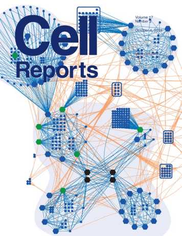 Enlarged view: Cover of Cell Reports showing the Polycomb interactome