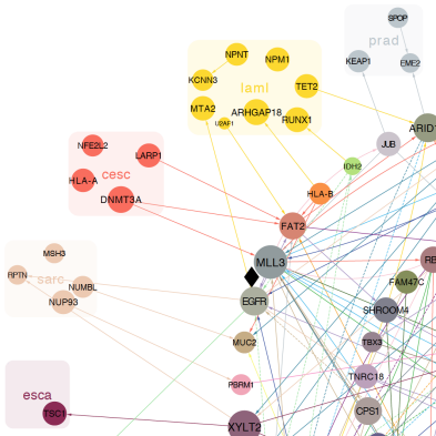 Cancer_Network
