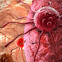 Cancer_Cell