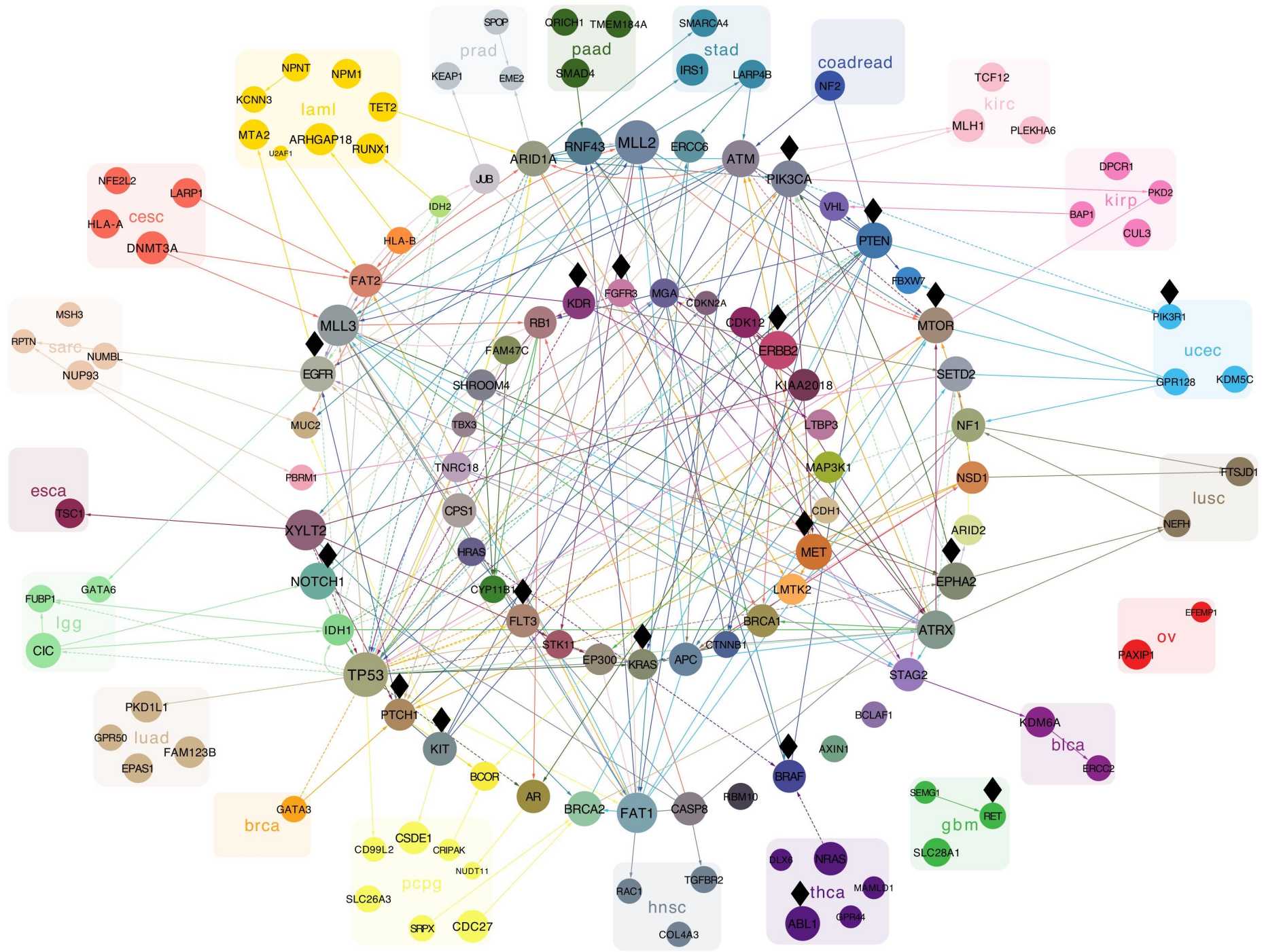 Enlarged view: Visualisation of mutational interactions that define novel cancer subgroups