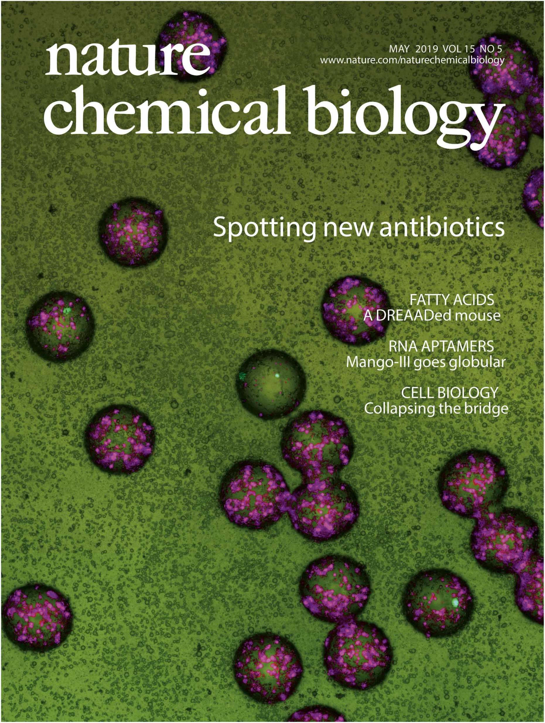 NatureChemicalBiology_cover_May2019