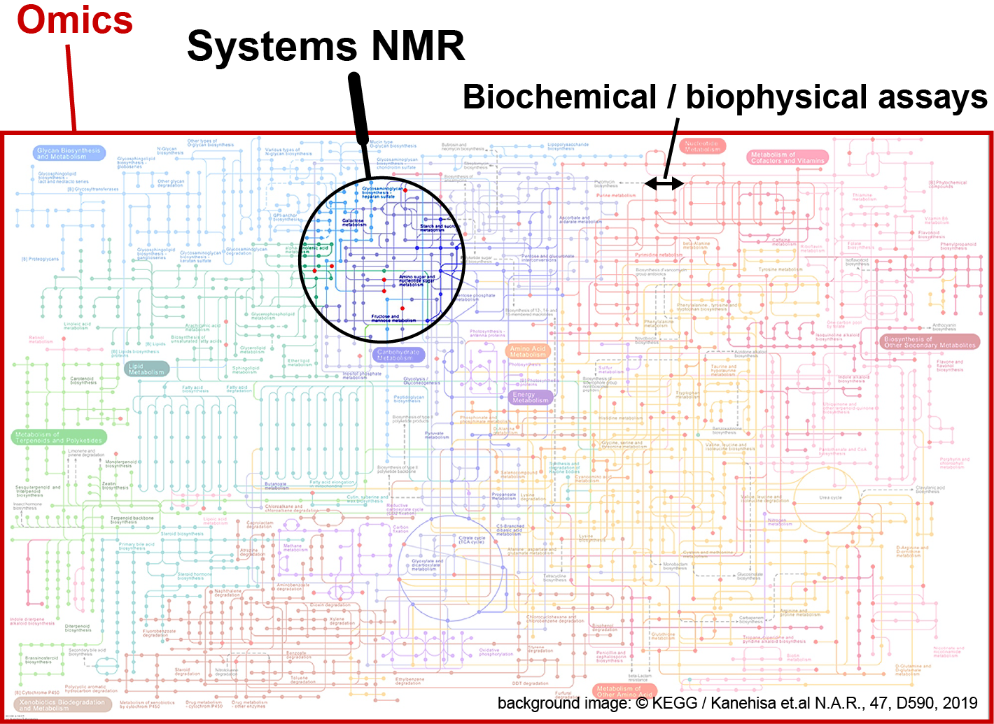 Enlarged view: conceptual illustration of Systems NMR
