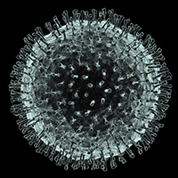 Coronavirus_©SciencePhotoLibrary