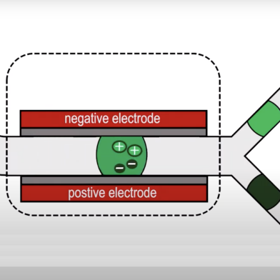 Dittrich_model-of-microfluidic-device