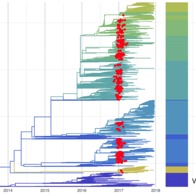 Basel_influenza_PLOS-Pathogens