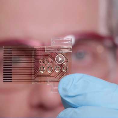 D-BSSE_BioEngineeringLab_PatrickMisun