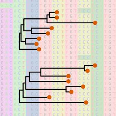 phylogenetic-tree_Nadeau_2022