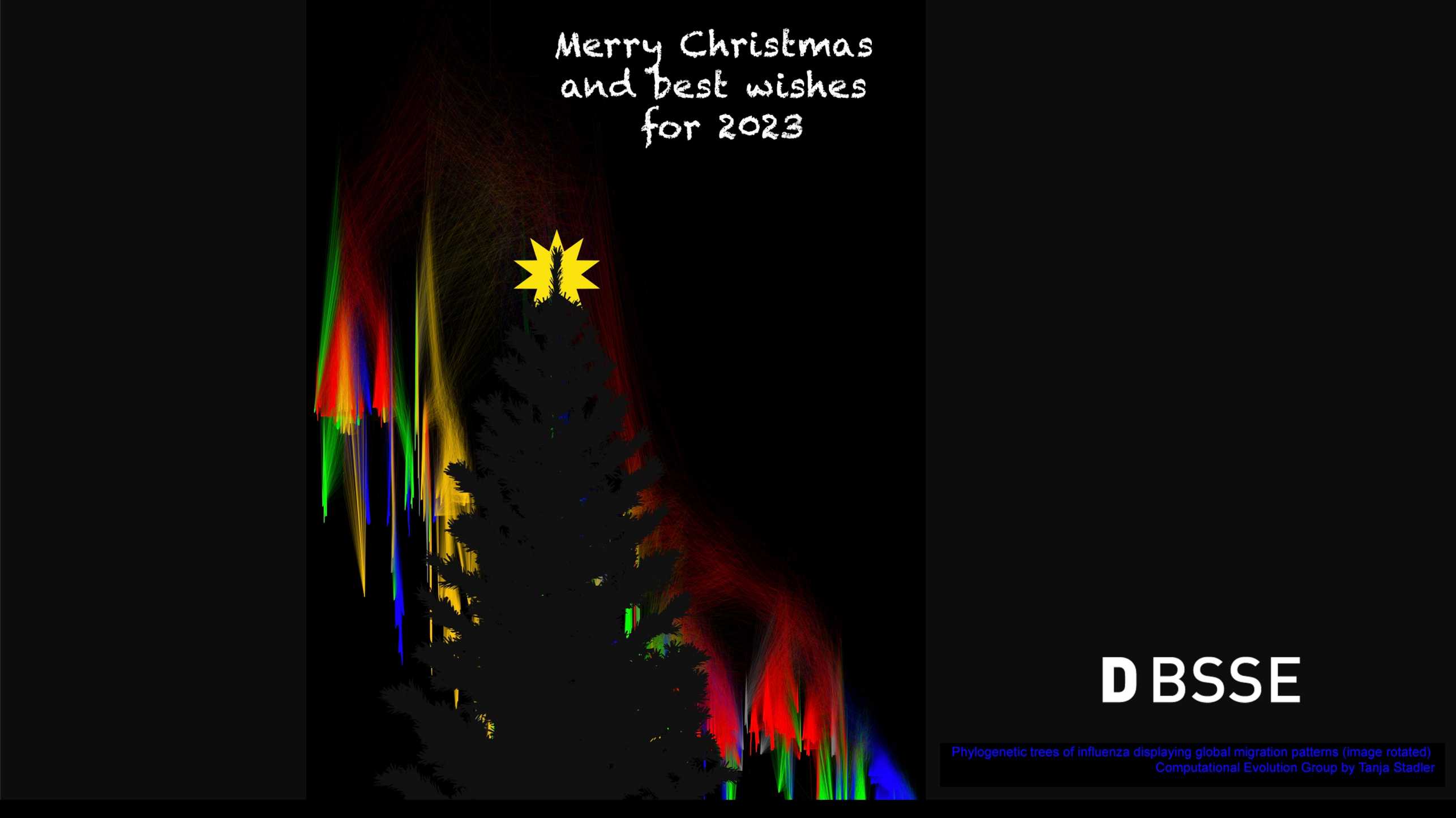 Enlarged view: Xmas Card 2022 BSSE - inspired by Research of Tanja Stadler 
