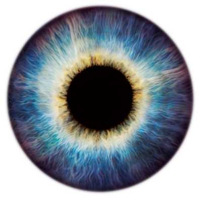 Scientifica-eye_symbol
