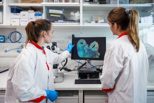 lab situation at BSS