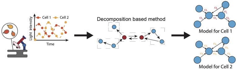 Enlarged view: Graphical abstract