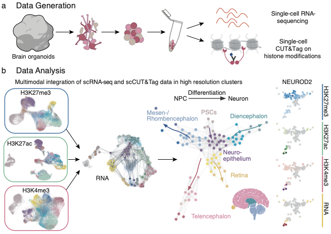 Enlarged view: graphical abstract to this publication