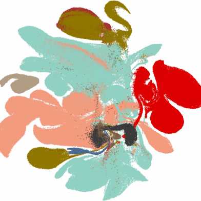 visual representation of the endoderm organoid atlas