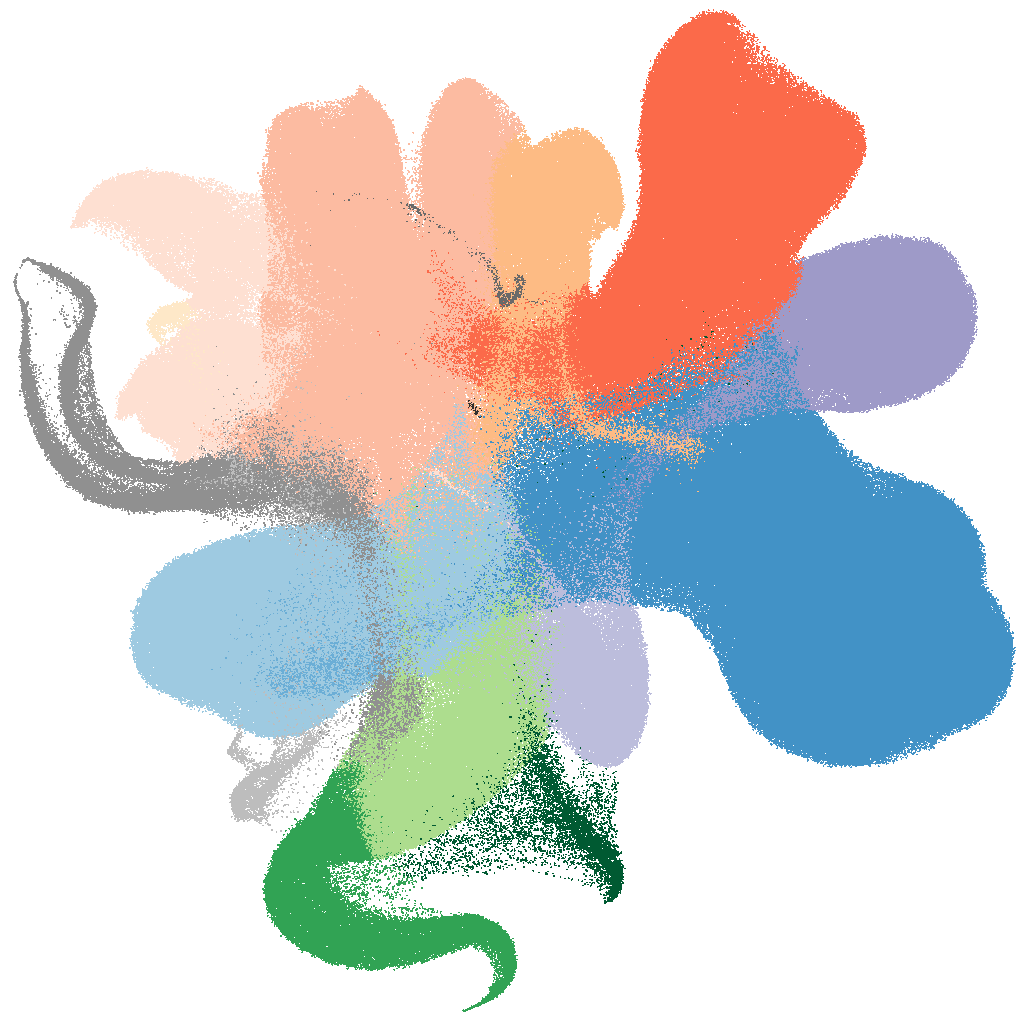 A visual representation of the brain organoid atlas. Each dot represents a single cell. The colours refer to the different cell types and states comprising the atlas, highlighting the breadth and diversity of the resource. Credit: He, Dony, Fleck et al. 2024
