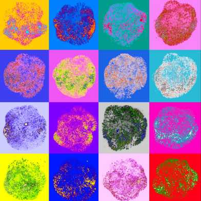 organoid_as pop-Art