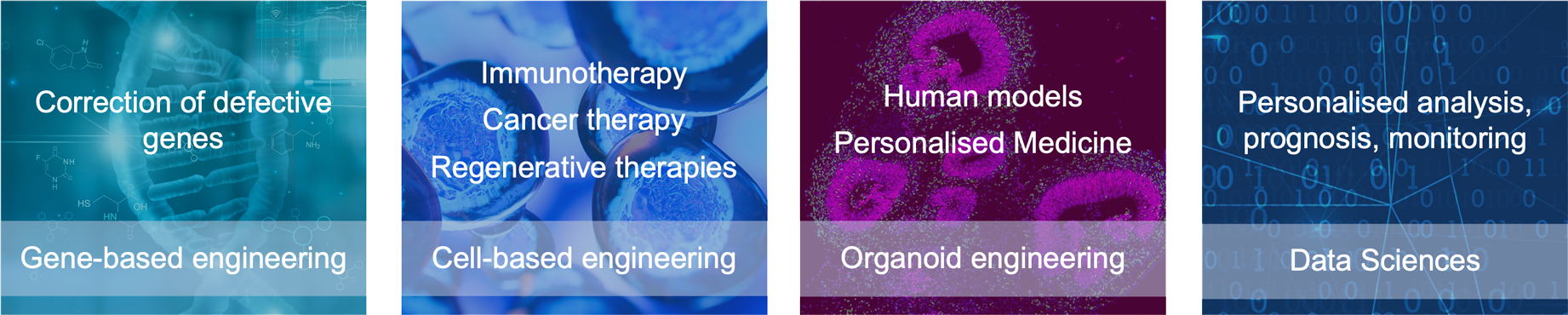 Four pillars of ETM: Gene-based engineering (Correction of defective genes), Cell-based engineering (Immunotherapy, cancer theray, regenerative therapies), Organoid engineering (Human models, personalised medicine), data sciences (personalised anaysis, prognosis, monitoring)