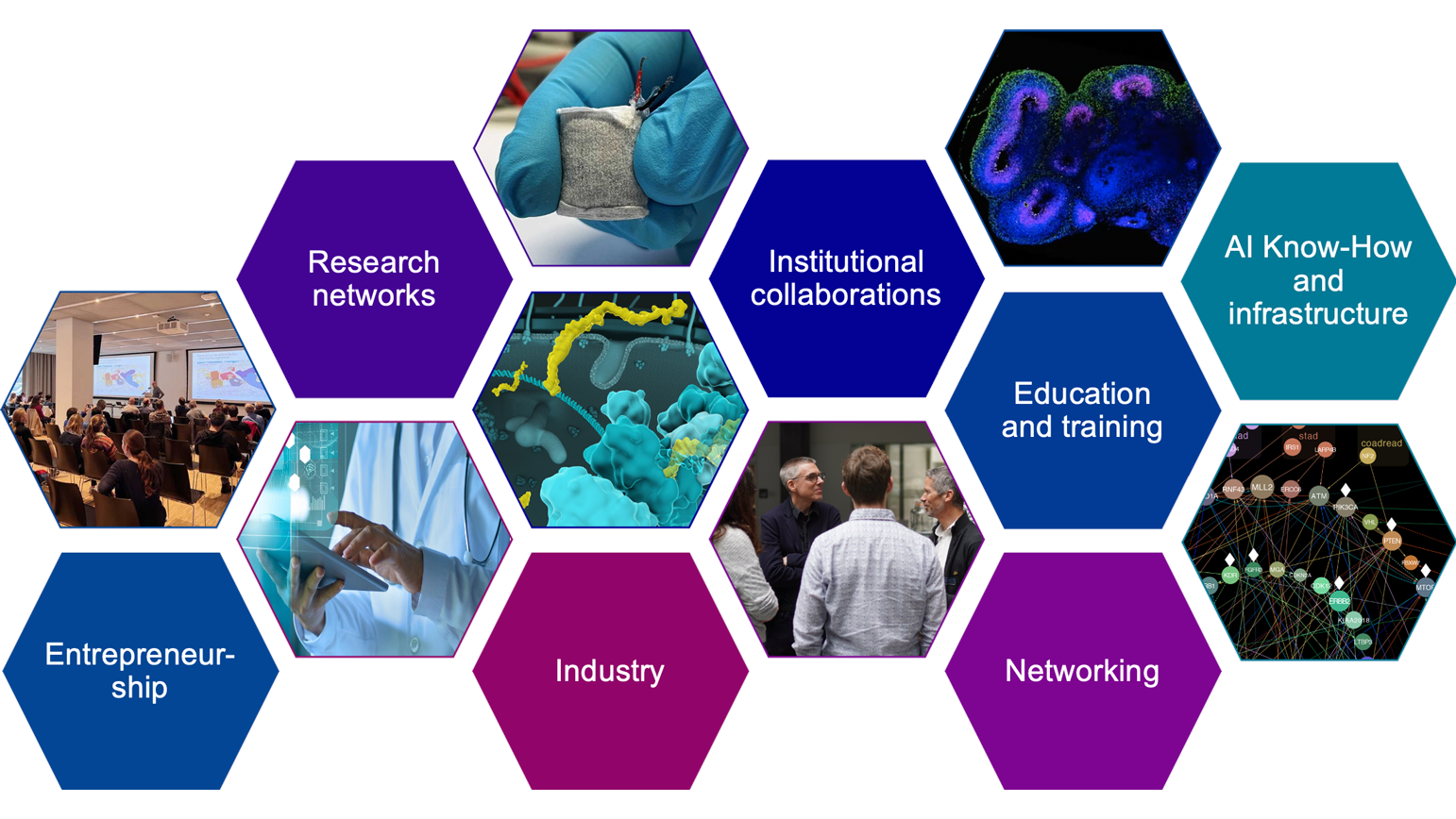 Honeycomb structure with images and text "Research networks", "Institutional collaborations", "Education and training", "AI Know-How and Infrastructure", "Entrepreneurship", "Industry" and "Networking"