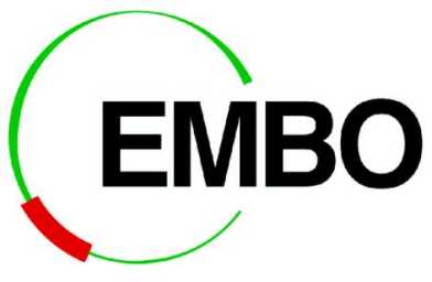 embo-platt