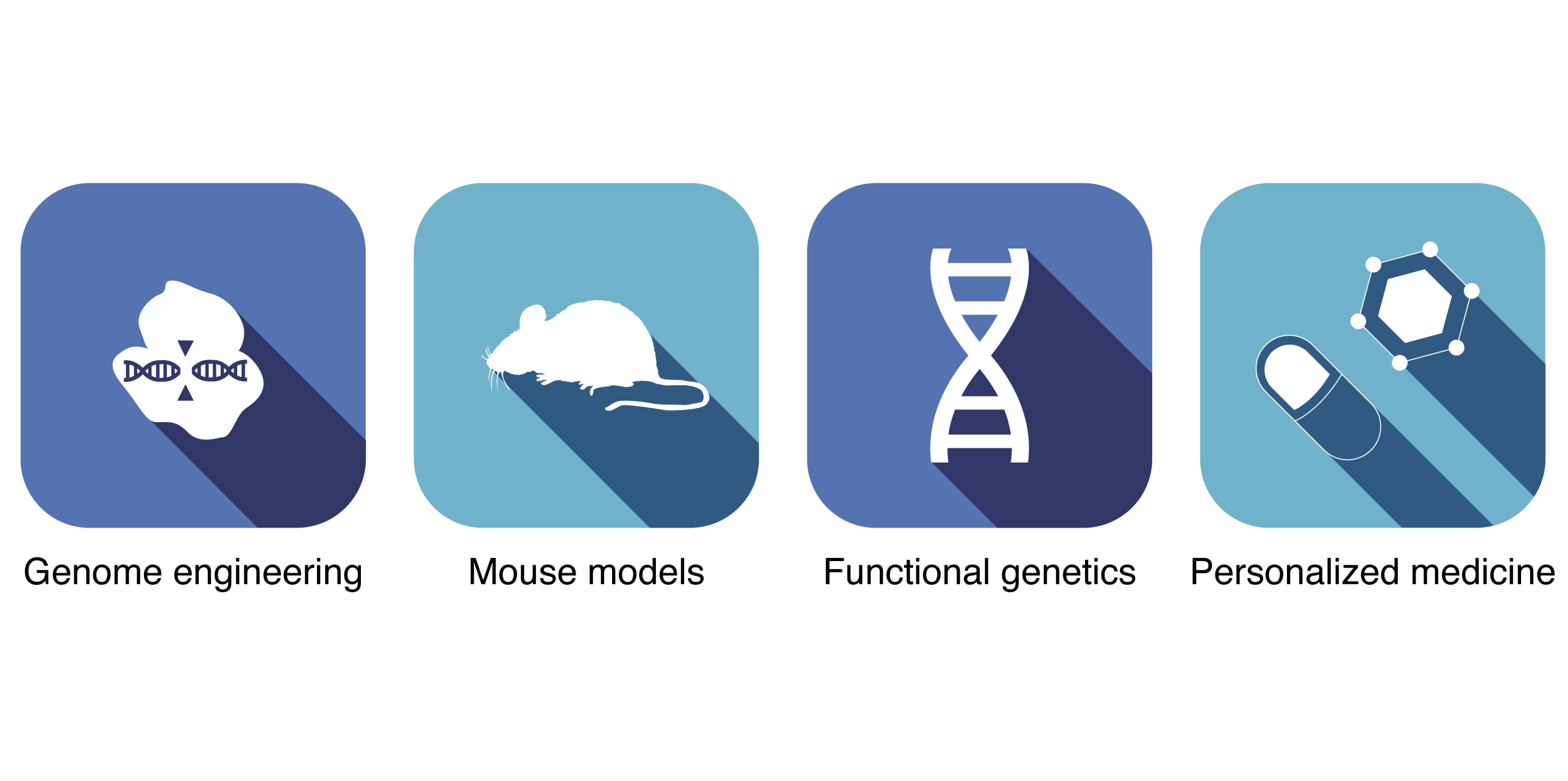 platt-lab-apps