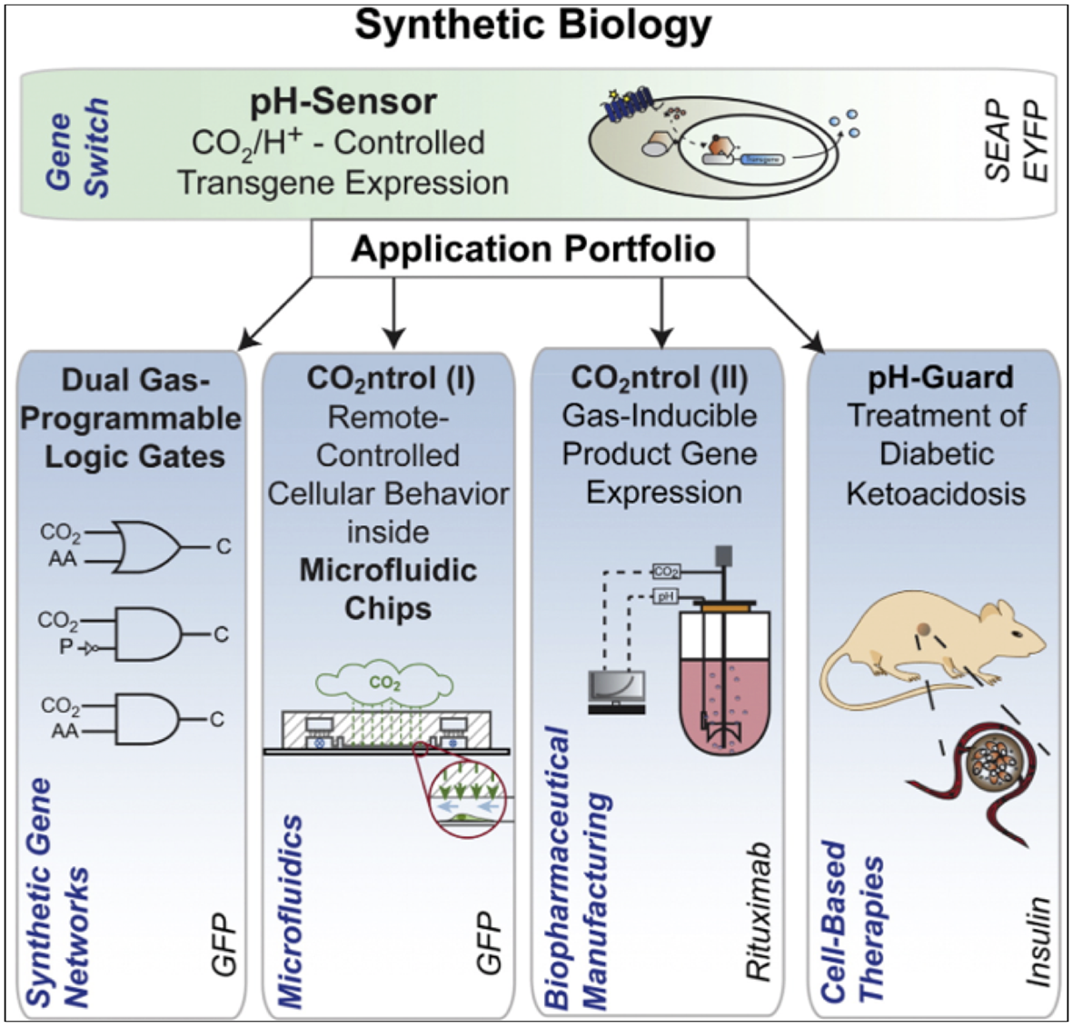 Enlarged view: Biopharmaceutical Manufacturing