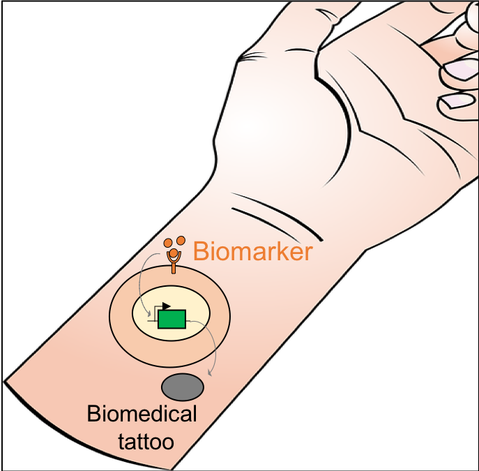 Enlarged view: Cell-based Diagnostics