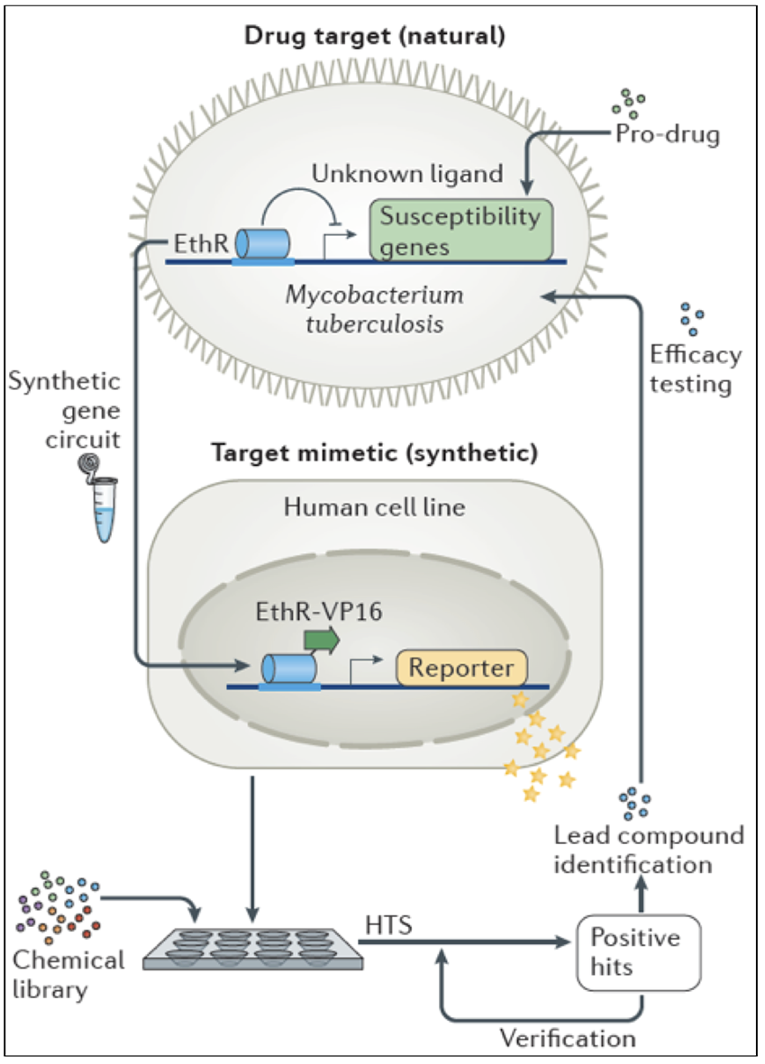 Enlarged view: Drug Discovery