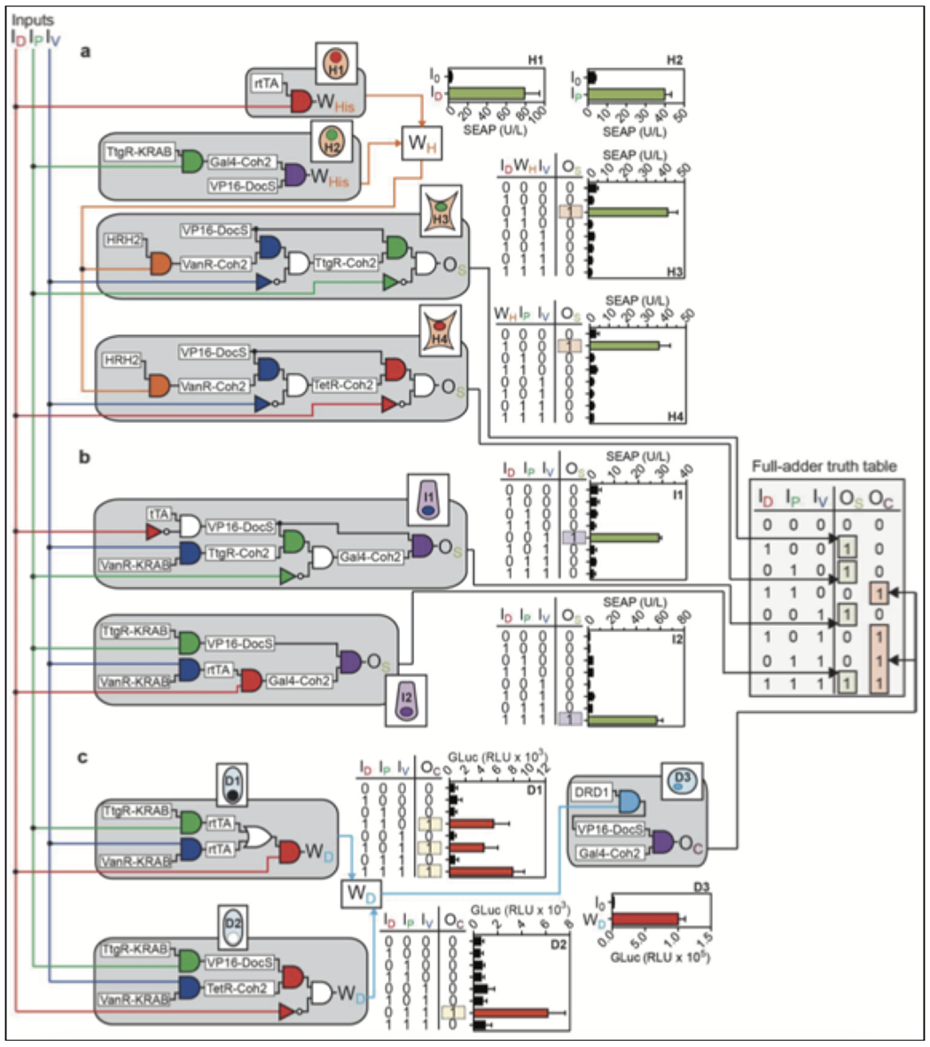 Enlarged view: Programmable Biocomputers