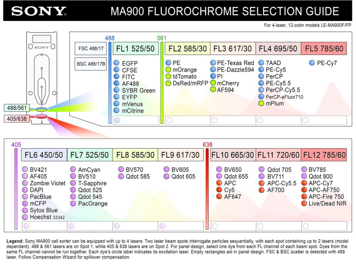 Enlarged view: MA900 Configuration